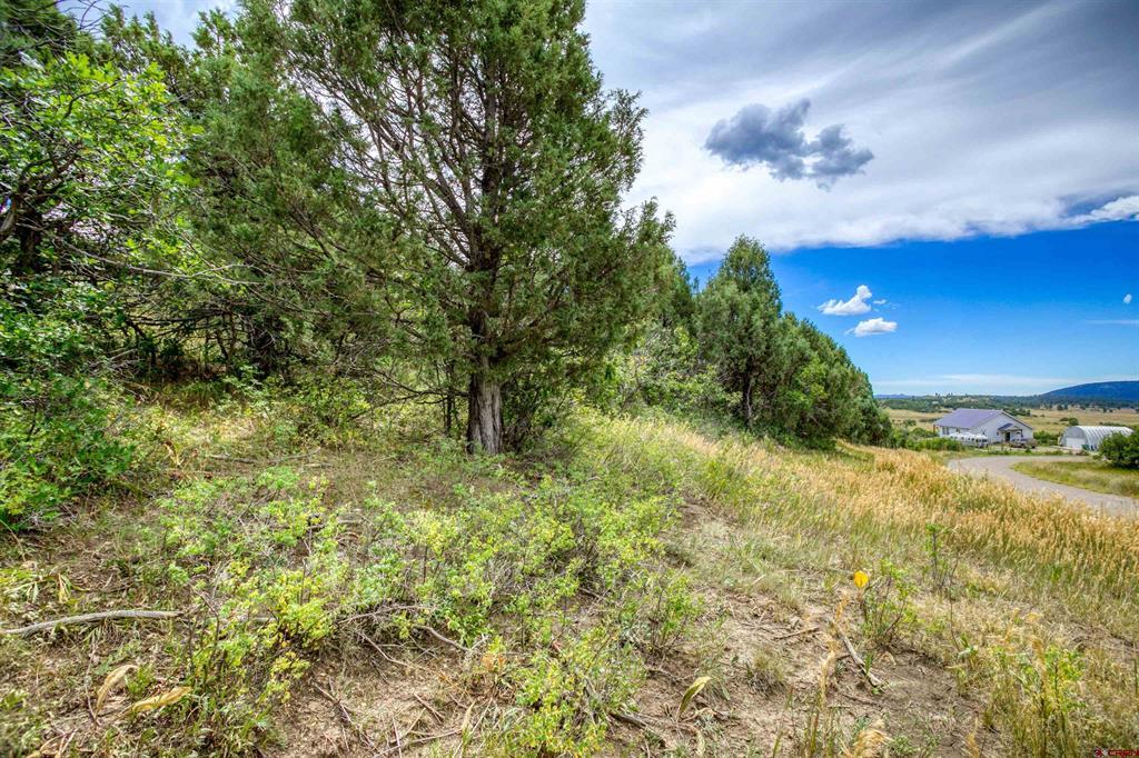 1698 & 1742 Roush Drive Pagosa Springs CO 81147
