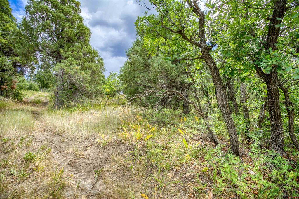 1698 & 1742 Roush Drive Pagosa Springs CO 81147