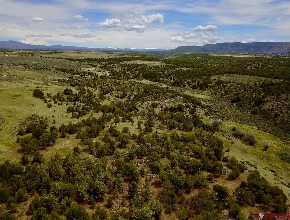 3141 Cr 130 Hesperus CO 81326