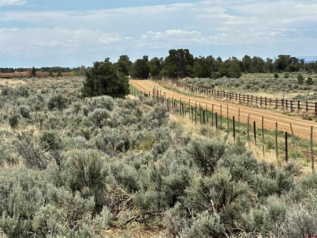 3141 Cr 130 Hesperus CO 81326