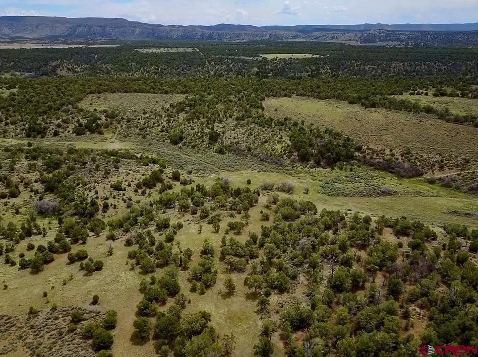 3141 Cr 130 Hesperus CO 81326