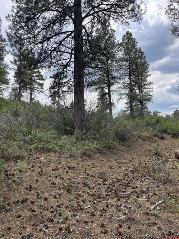 181 River Run Drive Pagosa Springs CO 81147