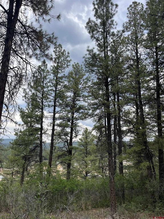 181 River Run Drive Pagosa Springs CO 81147