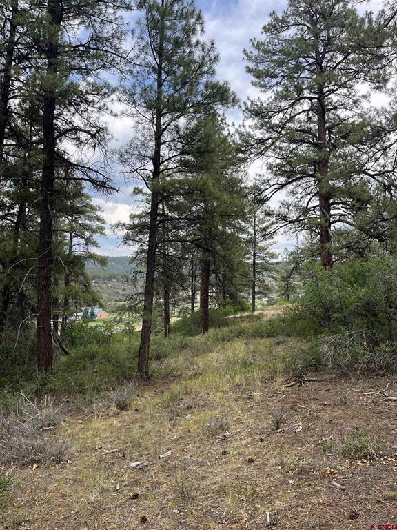 181 River Run Drive Pagosa Springs CO 81147