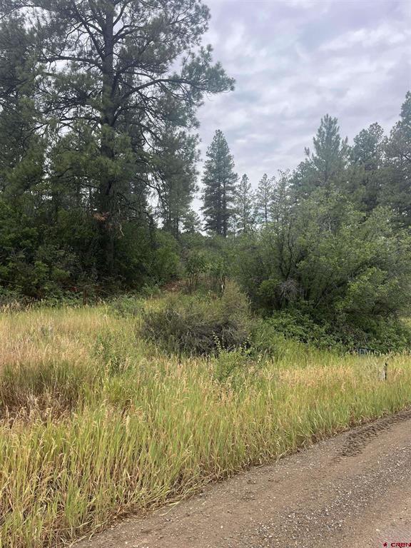 181 River Run Drive Pagosa Springs CO 81147