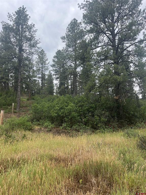 181 River Run Drive Pagosa Springs CO 81147