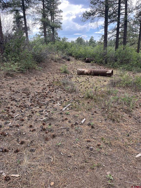 181 River Run Drive Pagosa Springs CO 81147