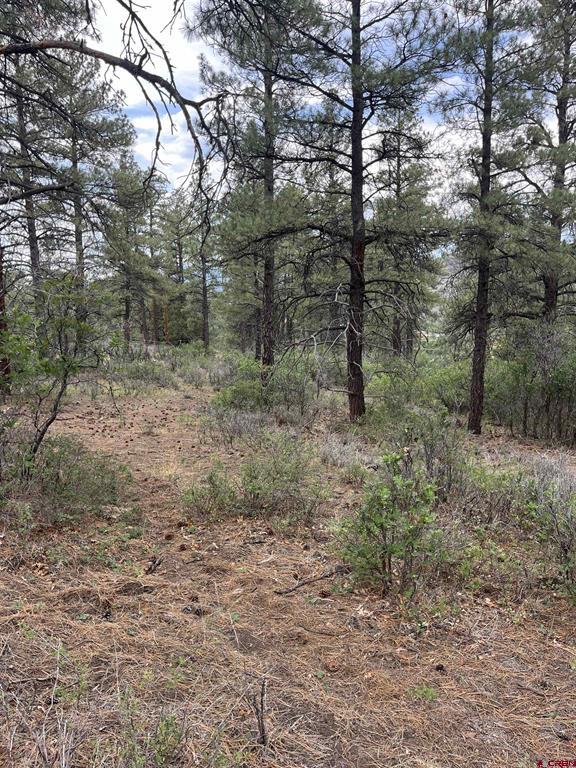 181 River Run Drive Pagosa Springs CO 81147