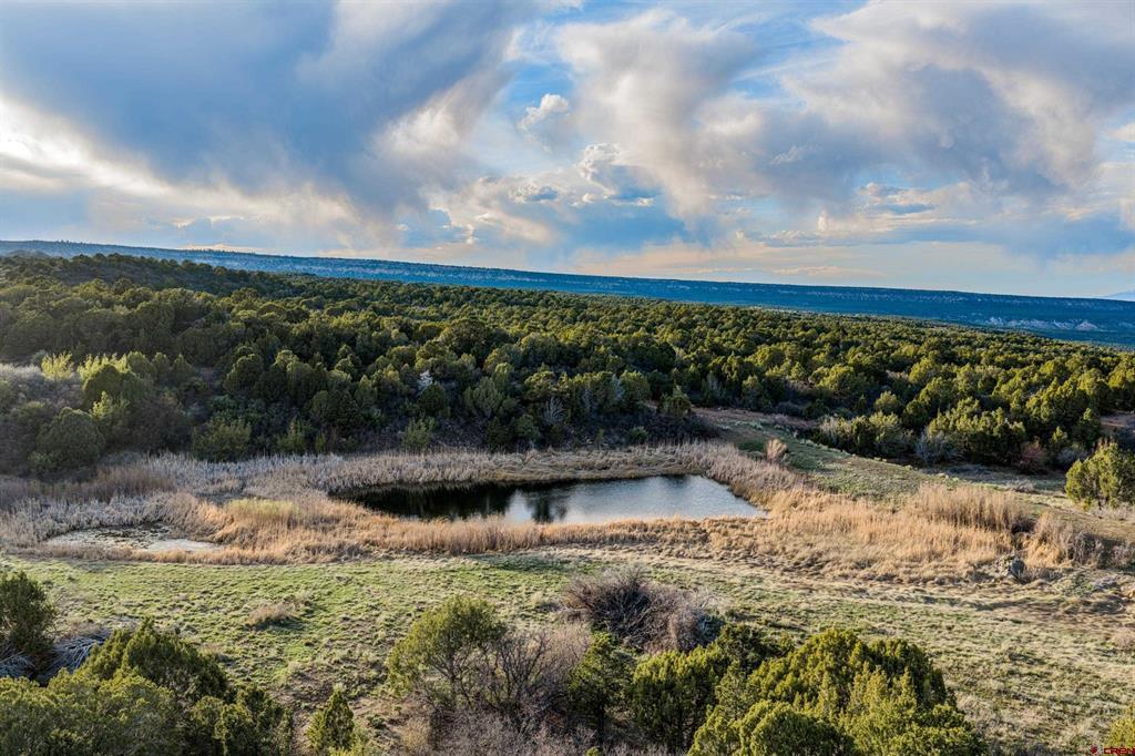 Tbd Old Highway 90 Montrose CO 81403