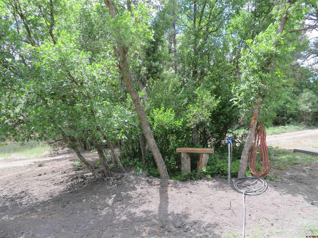 535 Bobcat Lane Pagosa Springs CO 81147