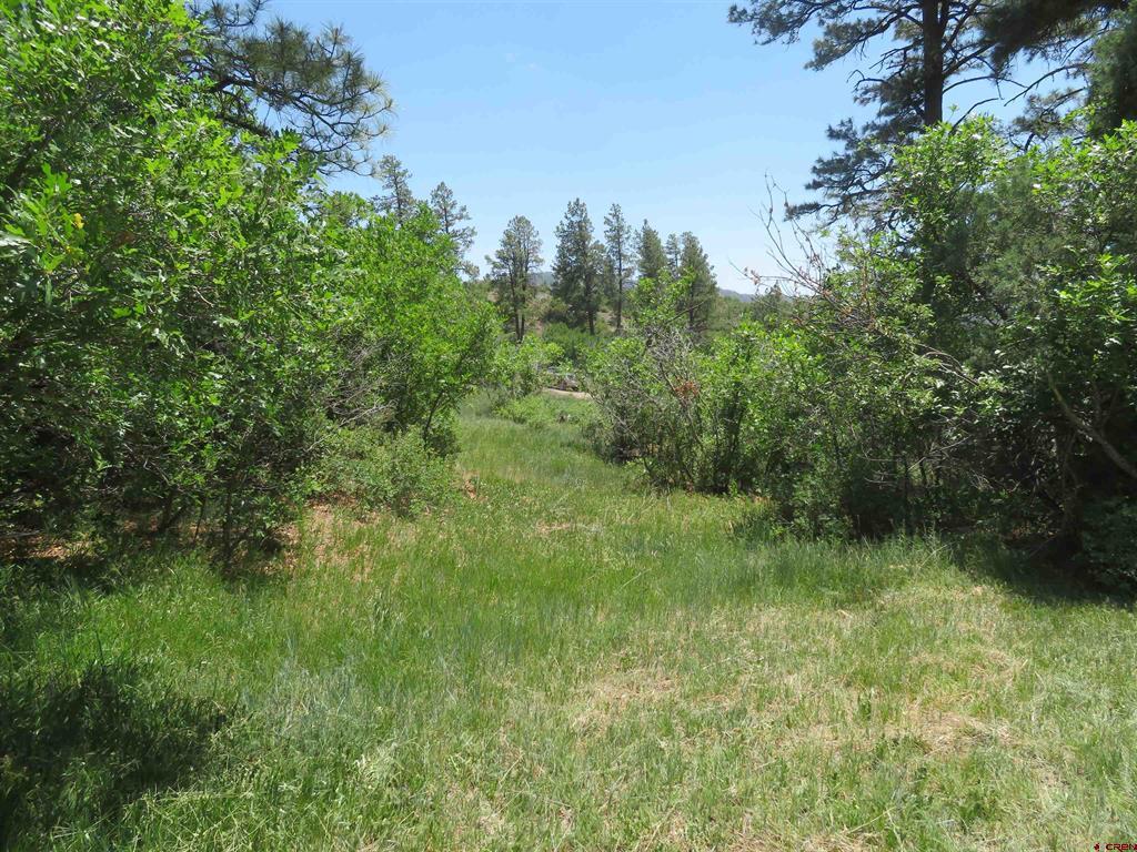 535 Bobcat Lane Pagosa Springs CO 81147