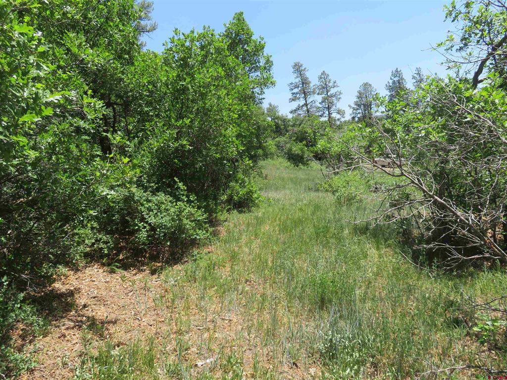 535 Bobcat Lane Pagosa Springs CO 81147