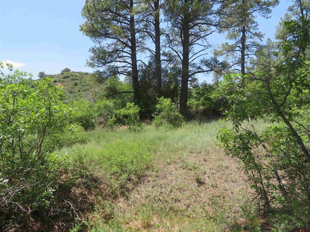 535 Bobcat Lane Pagosa Springs CO 81147