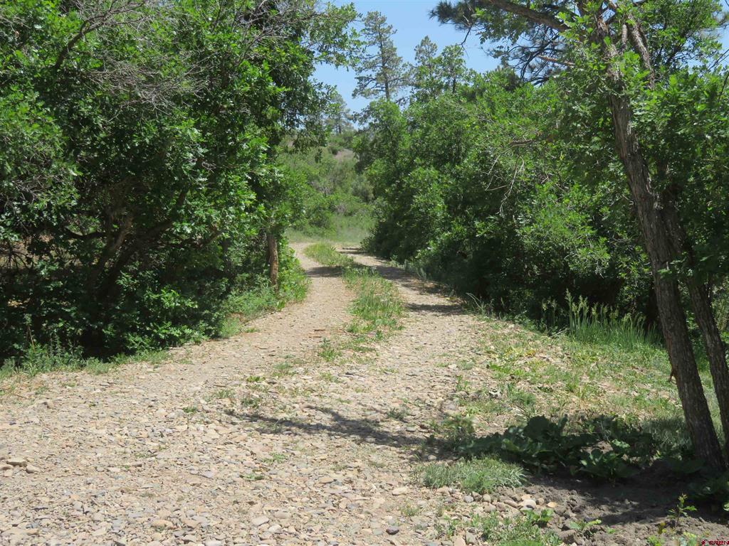 535 Bobcat Lane Pagosa Springs CO 81147