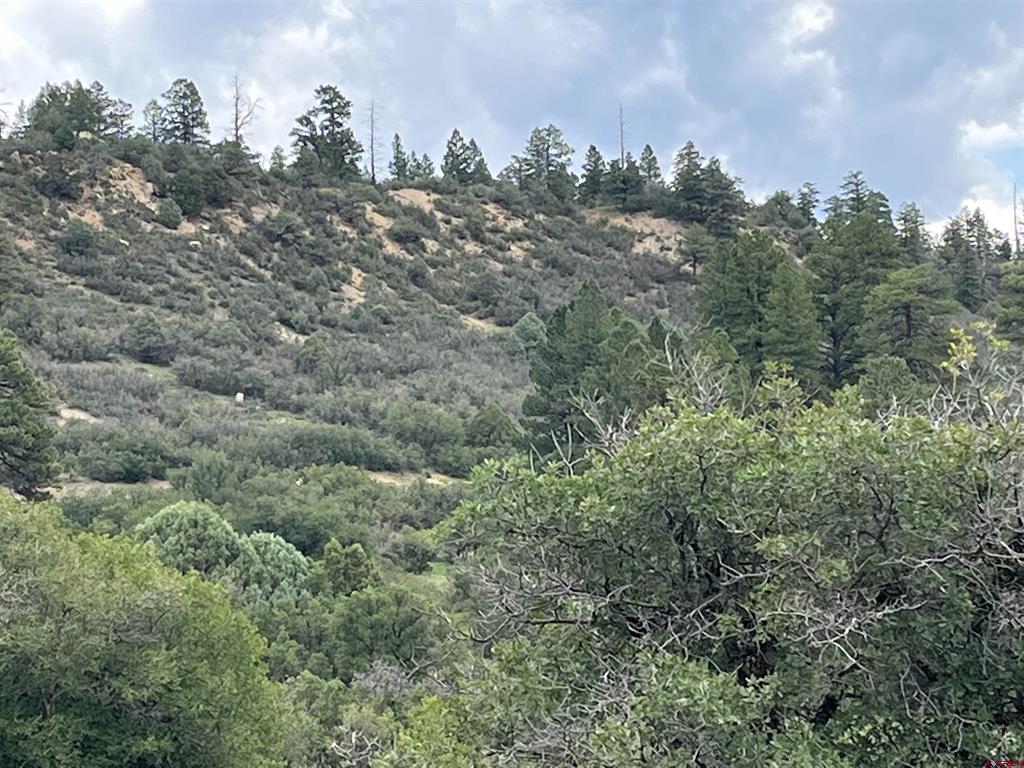 1240 Crowley Drive Chromo CO 81128