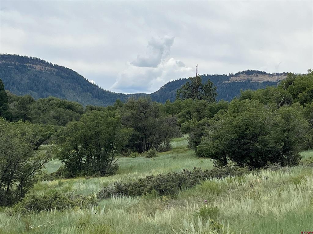 1240 Crowley Drive Chromo CO 81128
