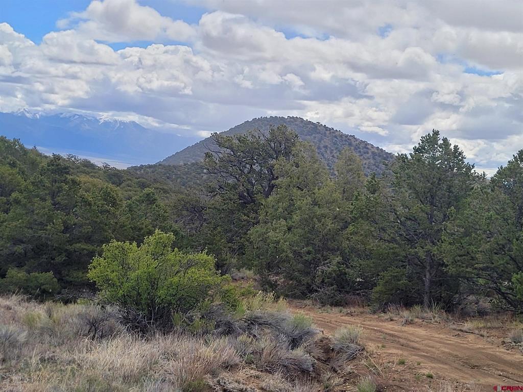 Tbd Hwy 285 Highway Saguache CO 81149