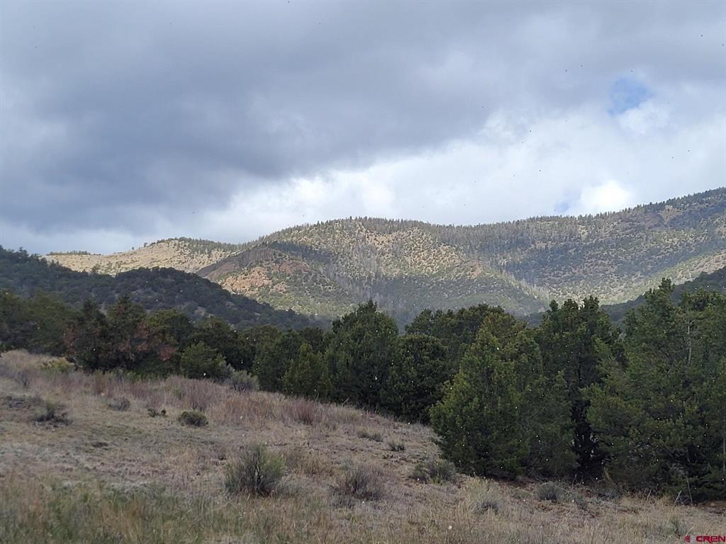 Tbd Hwy 285 Highway Saguache CO 81149