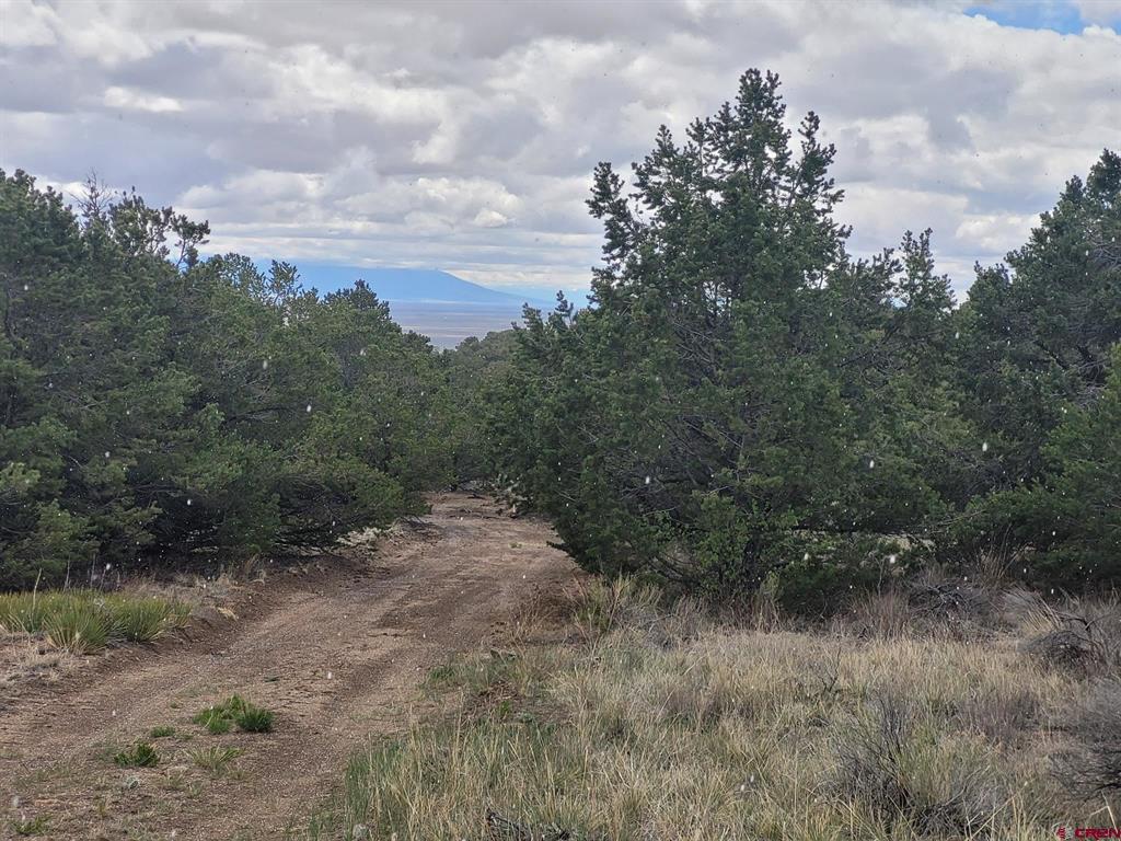 Tbd Hwy 285 Highway Saguache CO 81149