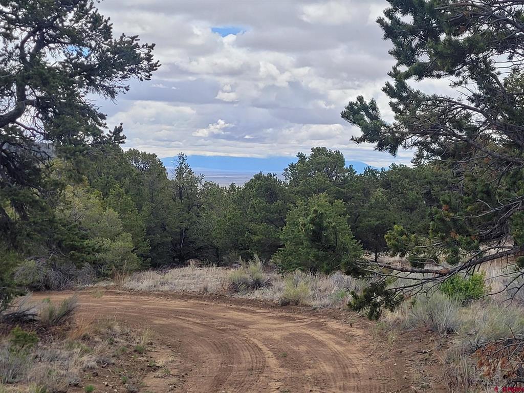 Tbd Hwy 285 Highway Saguache CO 81149