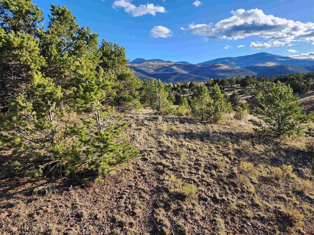 559 Orondoa Road South Fork CO 81154