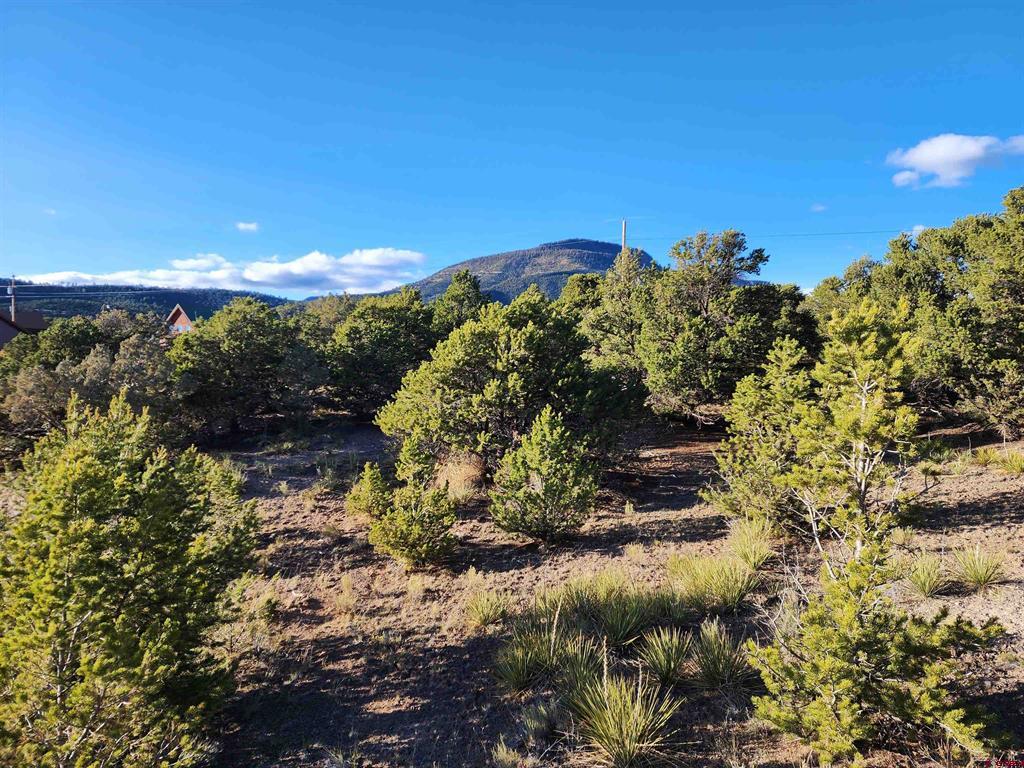 559 Orondoa Road South Fork CO 81154