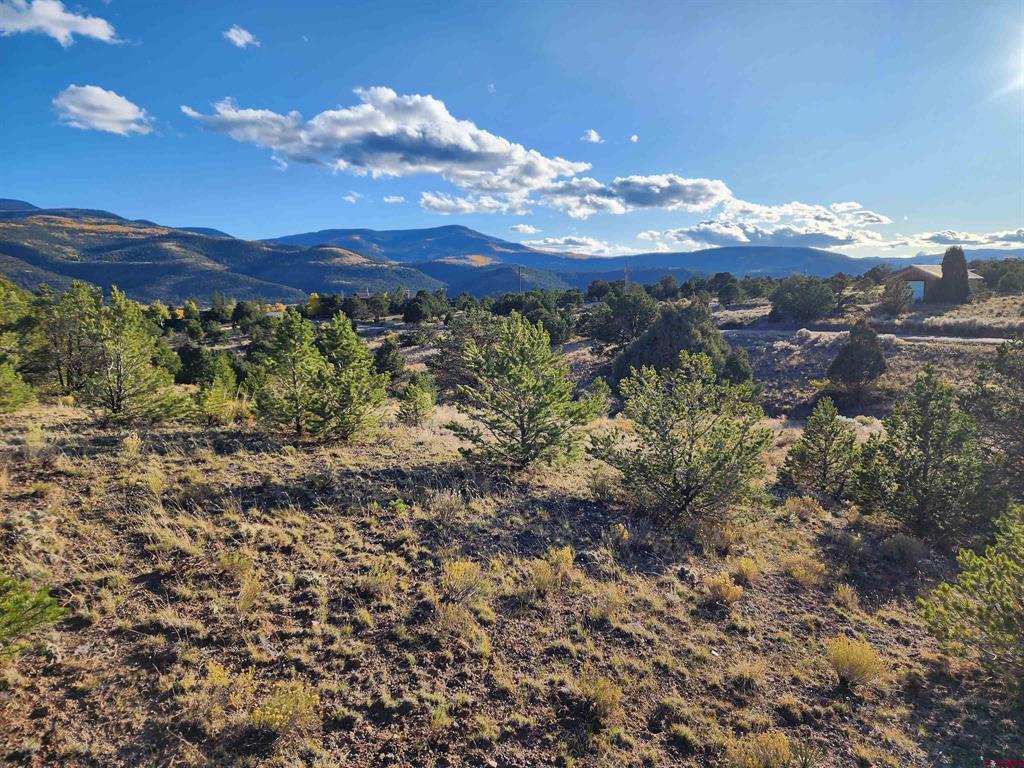 559 Orondoa Road South Fork CO 81154