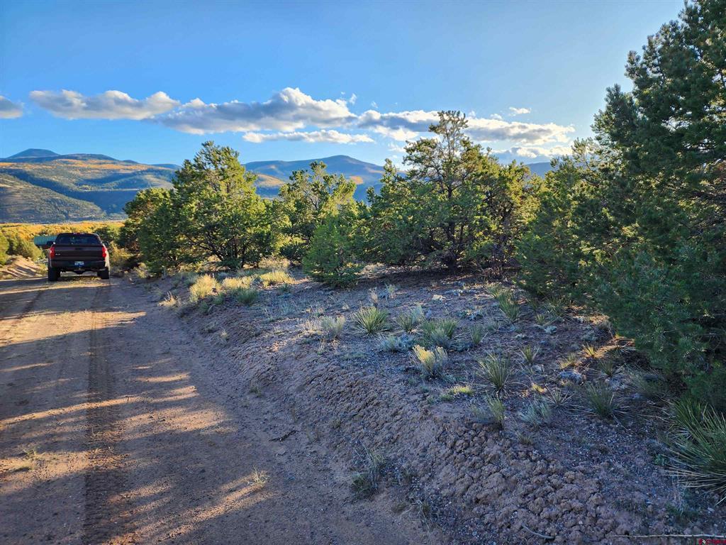 559 Orondoa Road South Fork CO 81154