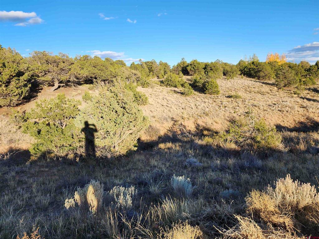 559 Orondoa Road South Fork CO 81154