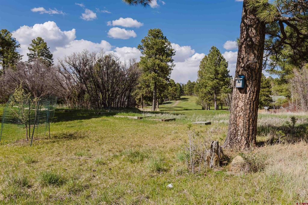 652 Handicap Avenue Pagosa Springs CO 81147