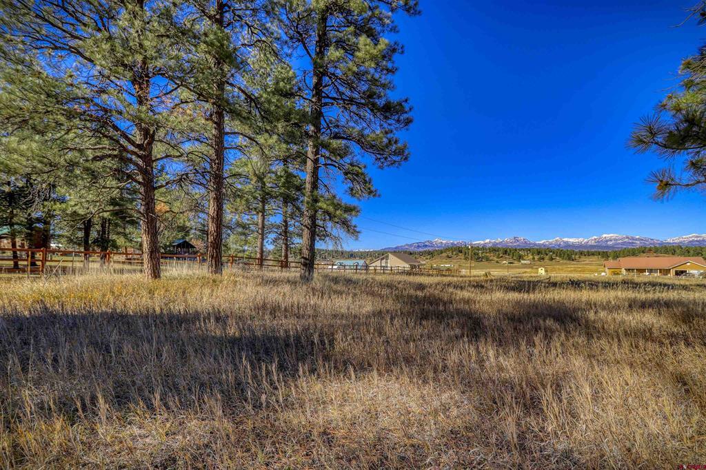 59 Green View Drive Pagosa Springs CO 81147