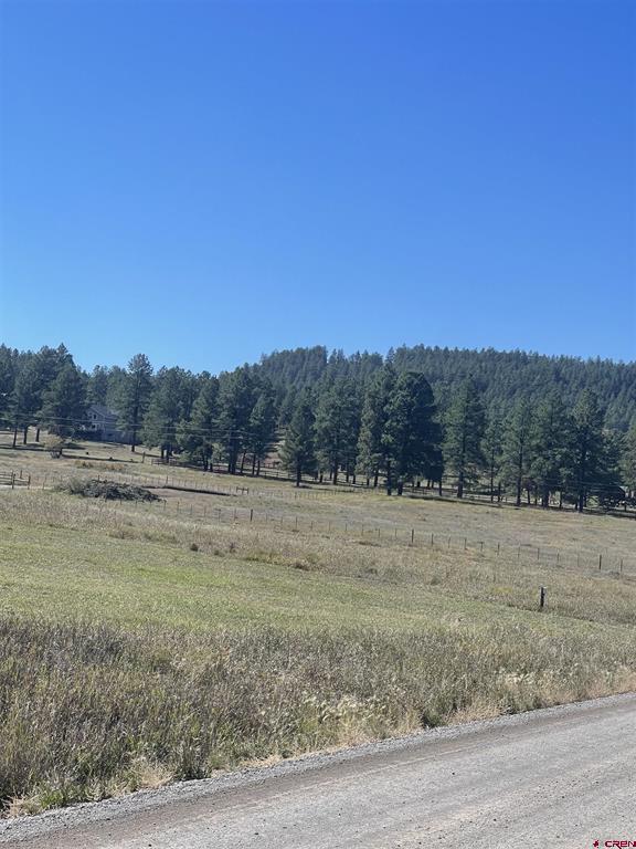 59 Green View Drive Pagosa Springs CO 81147