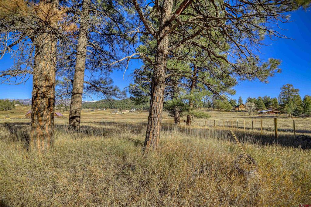 59 Green View Drive Pagosa Springs CO 81147