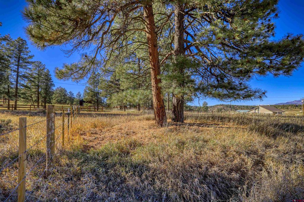 59 Green View Drive Pagosa Springs CO 81147