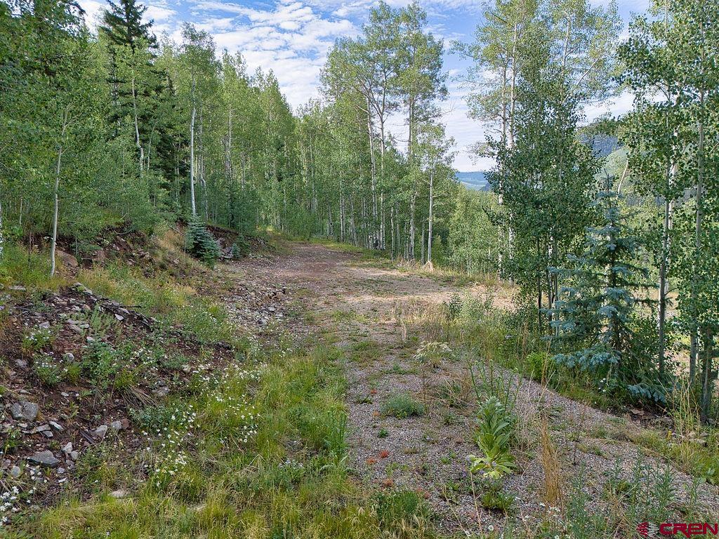 216 S Commercial Street Rico CO 81332
