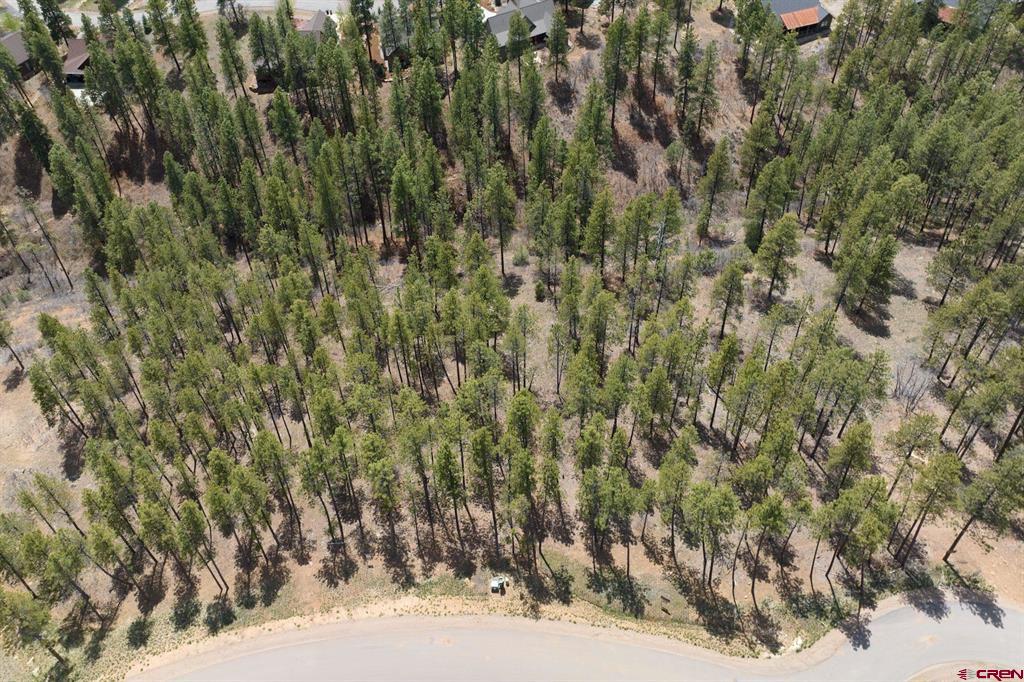 1091 Red Canyon Trail Durango CO 81301