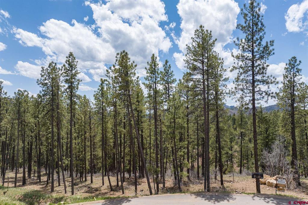 1091 Red Canyon Trail Durango CO 81301