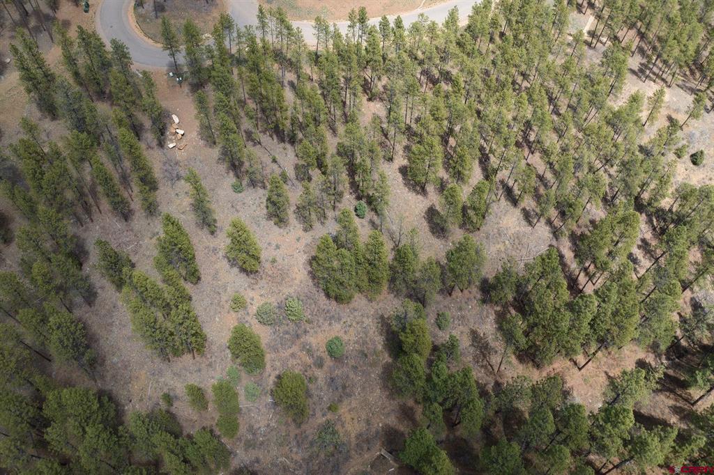 1091 Red Canyon Trail Durango CO 81301