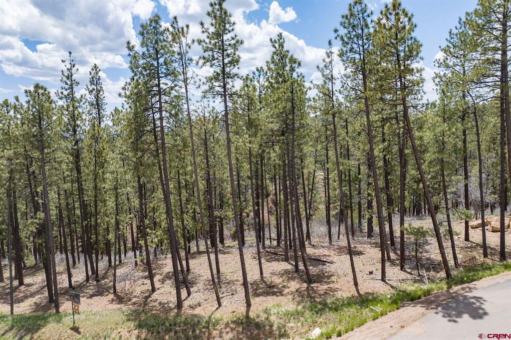 1091 Red Canyon Trail Durango CO 81301