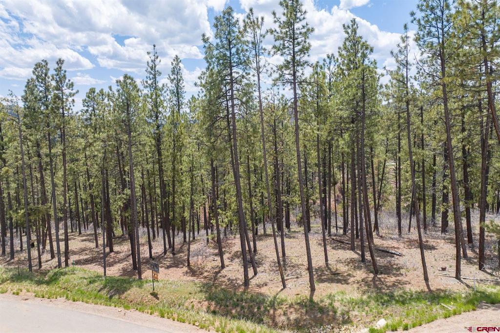 1091 Red Canyon Trail Durango CO 81301