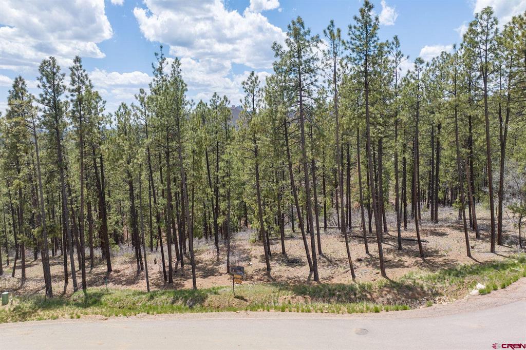 1091 Red Canyon Trail Durango CO 81301