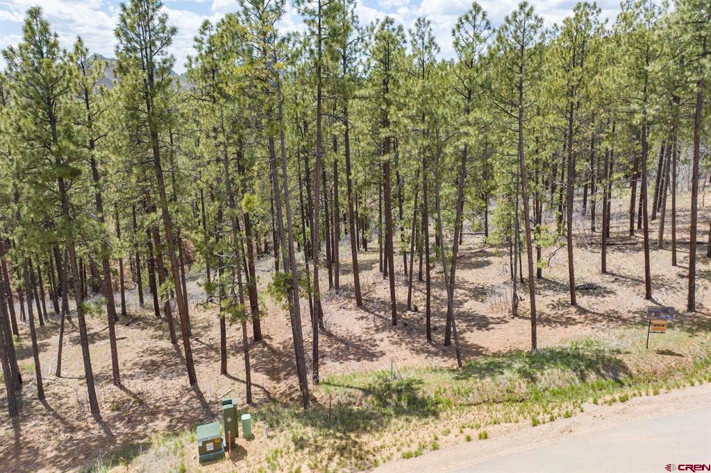 1091 Red Canyon Trail Durango CO 81301
