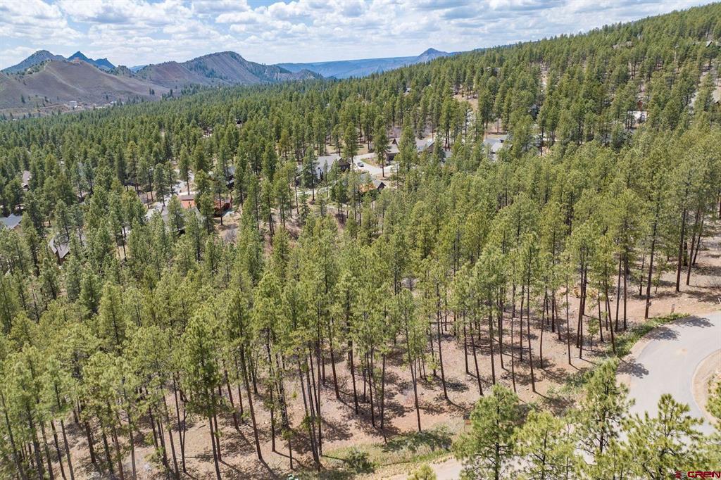 1091 Red Canyon Trail Durango CO 81301
