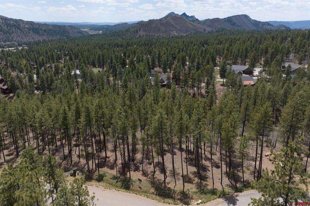 1091 Red Canyon Trail Durango CO 81301