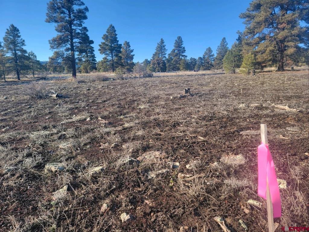 Pagosa Springs CO, 660 Trails