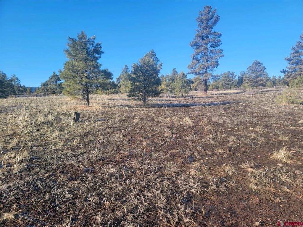 660 Trails Boulevard Pagosa Springs CO 81147