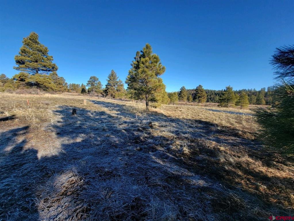 660 Trails Boulevard Pagosa Springs CO 81147