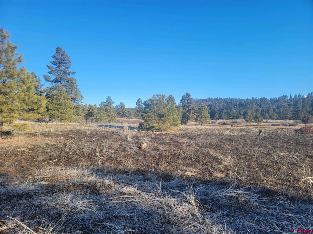 660 Trails Boulevard Pagosa Springs CO 81147