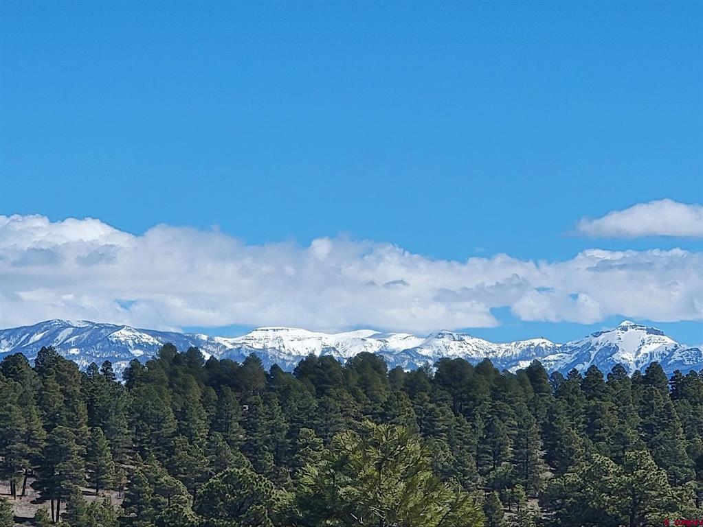 660 Trails Boulevard Pagosa Springs CO 81147