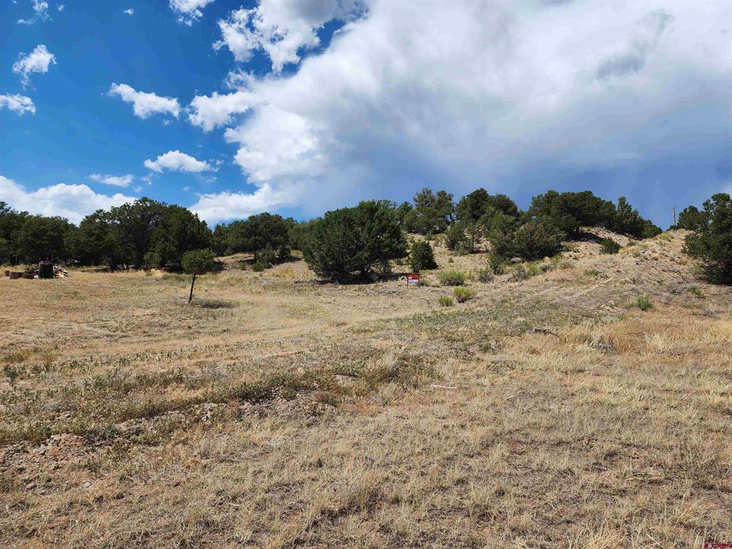 337 Trinchera Road South Fork CO 81154